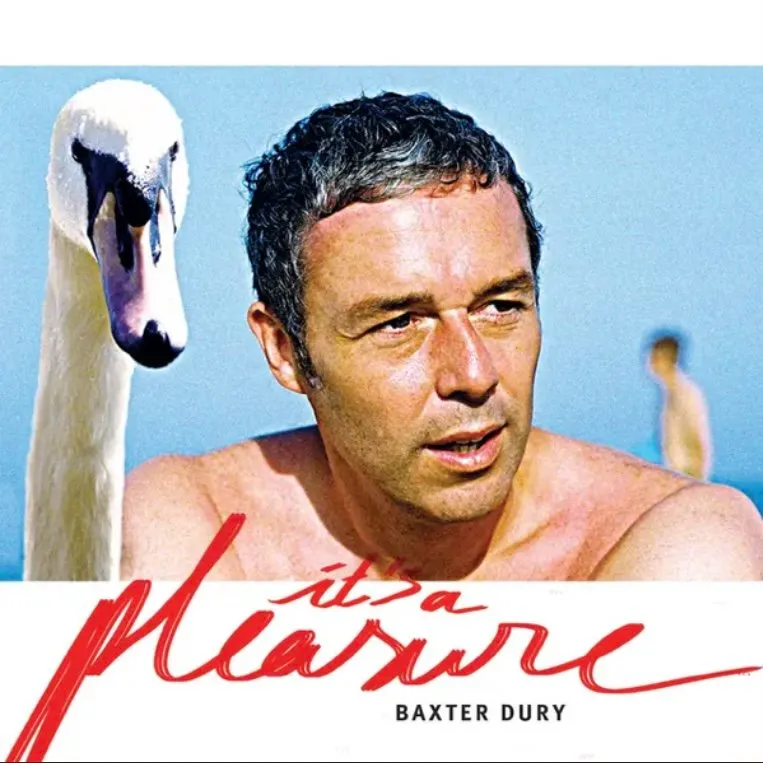 Baxter Dury, Its a Pleasure, 2014