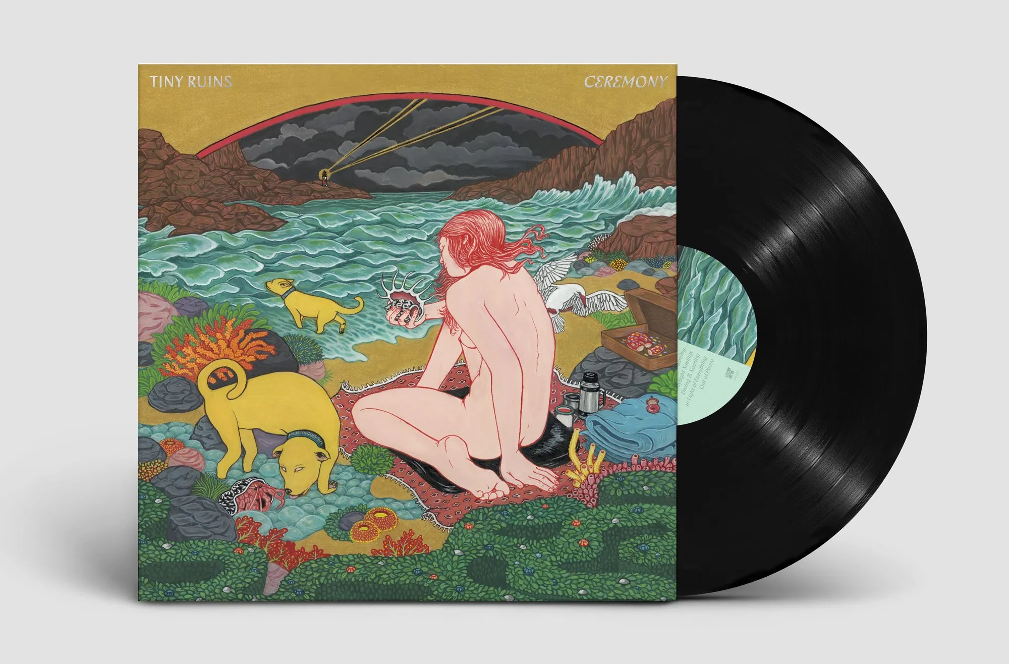 Tiny Ruins Ceremony Album Artwork
